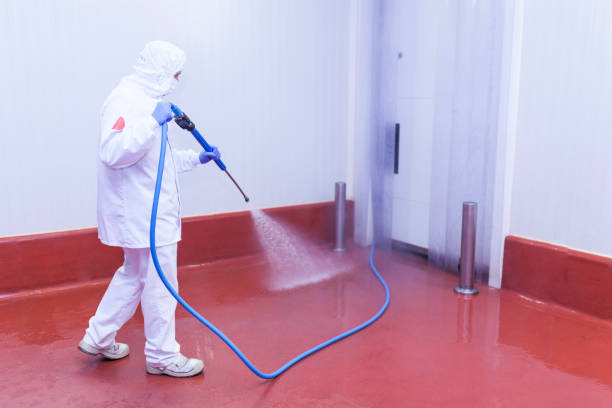 Best Window and Screen Pressure Cleaning in Edinburg, TX