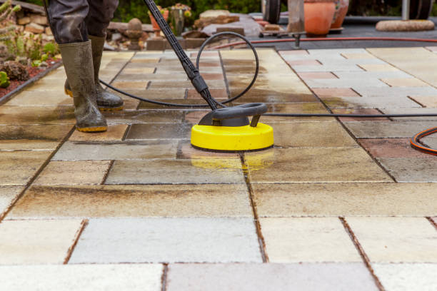 Best Fence Cleaning and Maintenance in Edinburg, TX